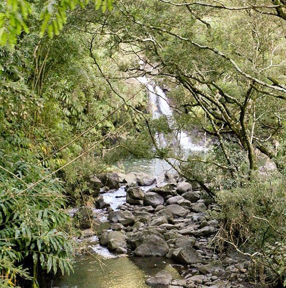 Valley Isle Excursions view