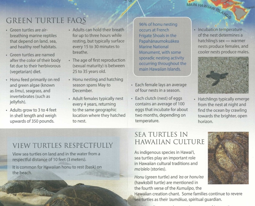 Honu FAQs