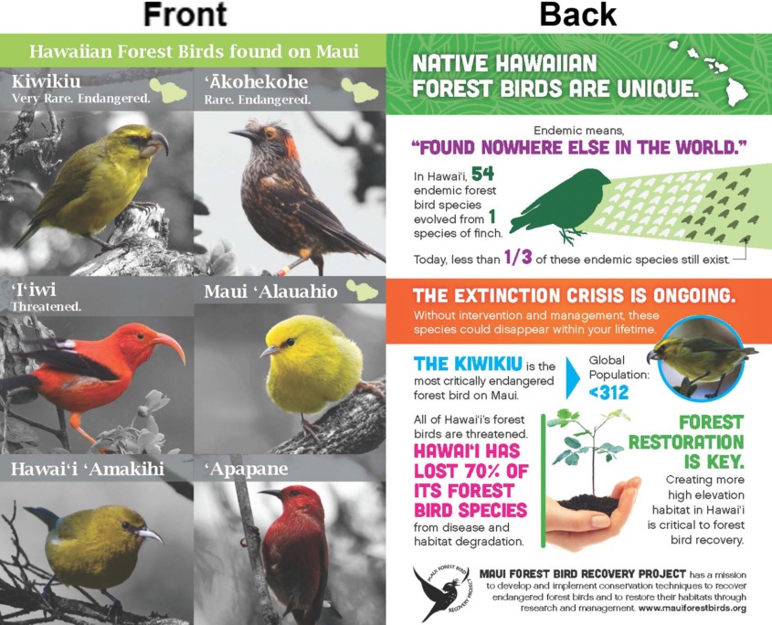 MFBRP InfoGraphic