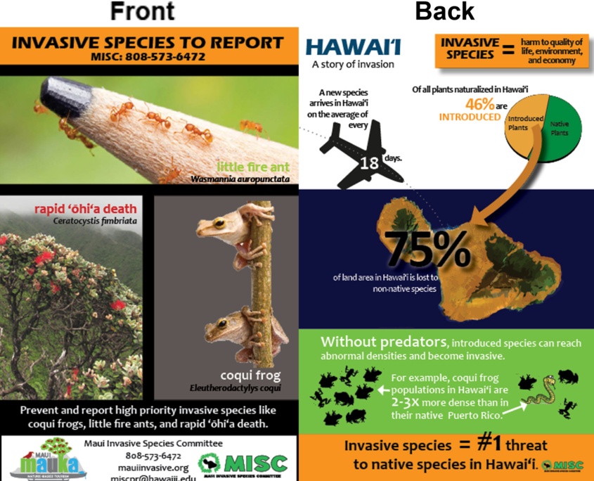 MISC Info Graphic