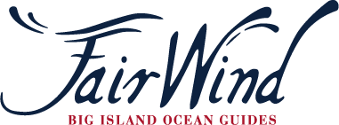 Fair Wind Cruises