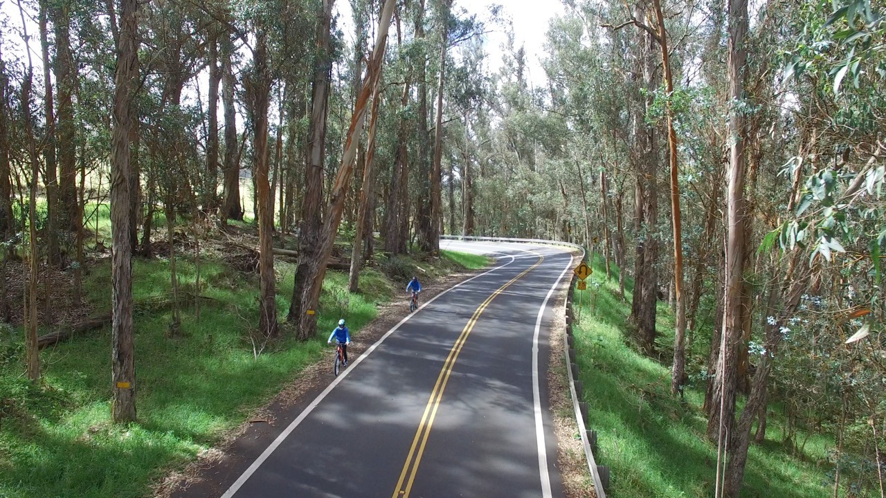 haleakala bike company eucalyptus riding