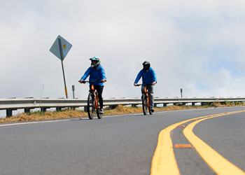 haleakala bike company eucalyptus ridingriders on haleakala