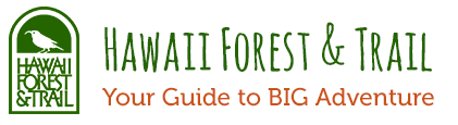 hawaii forest trail logo