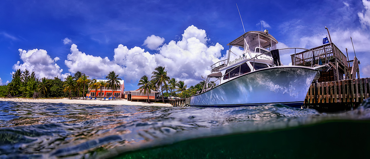 maui dreams dive company beach resort