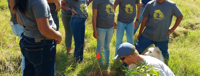 Hawaii Legacy Tours Youth Tree Planting