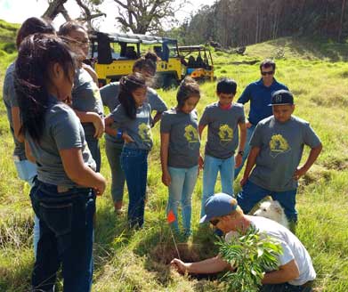 Hawaii Legacy Tours Youth Tree Planting