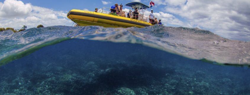 Yellow boat and reef below