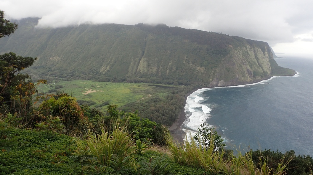 Wasabi Tours Hawaii Waipio Valley