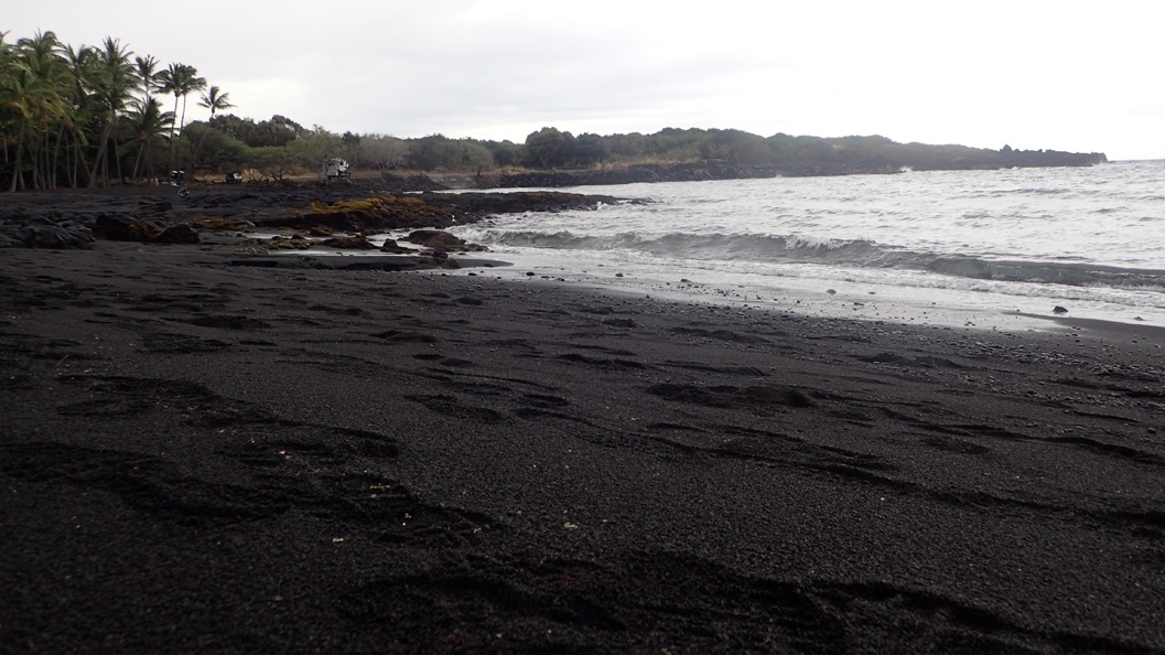 Wasabi Hawaii Tours Black Sand Beach