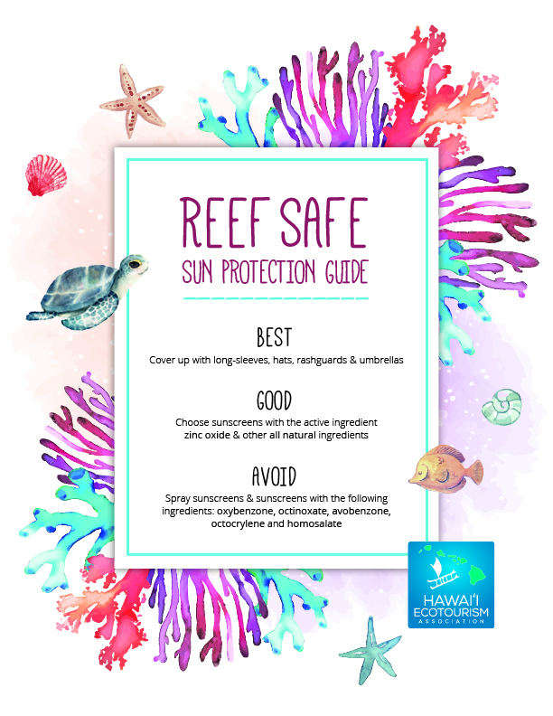 Reef safe infographic HEA