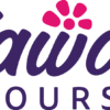 Hawaii Tours & Activities